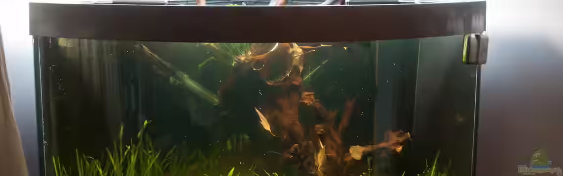 Becken 25828 von mala1307