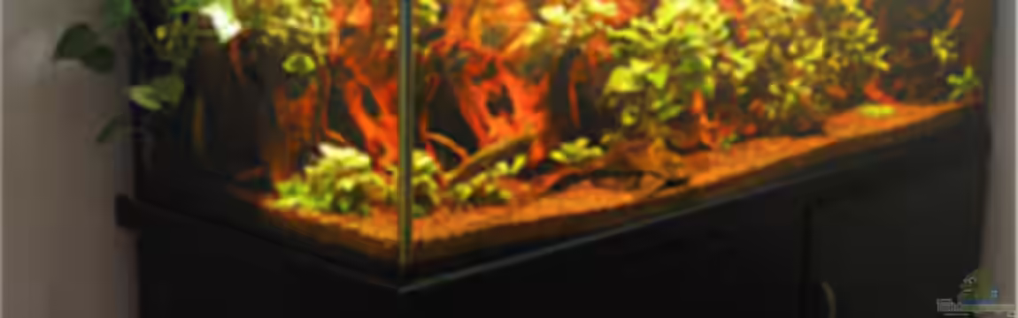 Becken 2601 von Kirsten Schieß