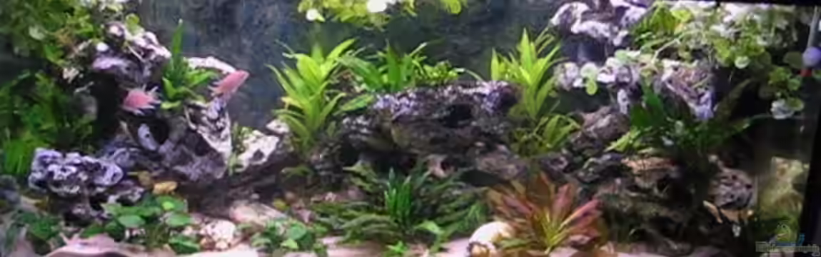 Becken 2603 von Andreas&Andrea Wielpütz