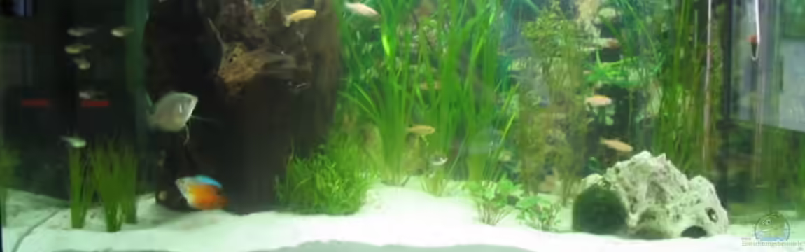 Becken 2604 von Björn Herzog