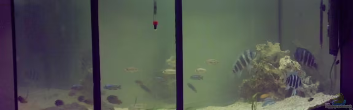 Becken 2605 von Tobias Kubait