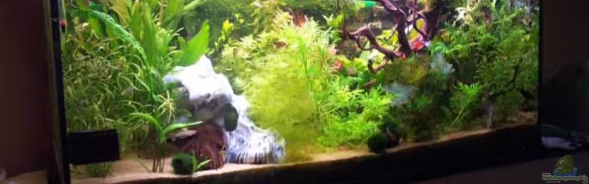 Becken 2614 von Mathias John