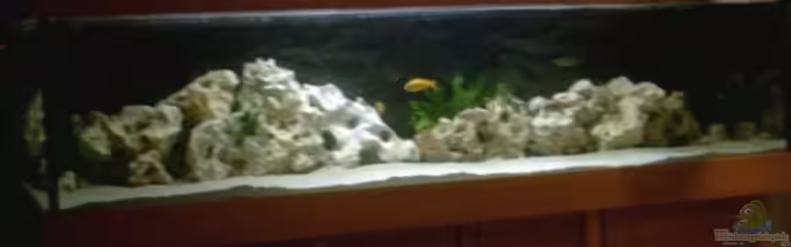 Becken 2615 von Andreas Scheer