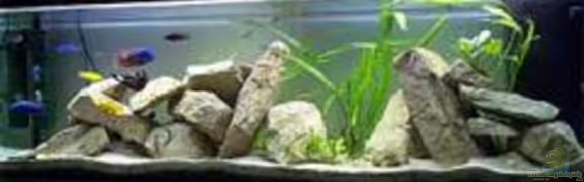 Becken 2636 von Daniel Kronmüller