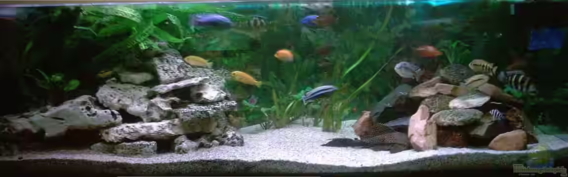 Becken 264 von Stefan Kellner