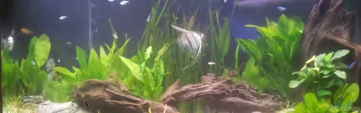 Becken 26431 von Jan Bellwinkel