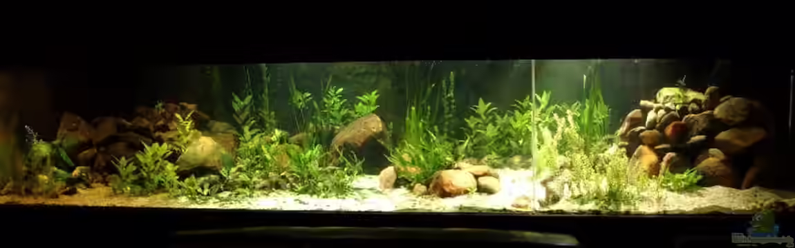 Becken 2645 von Jari Grünig