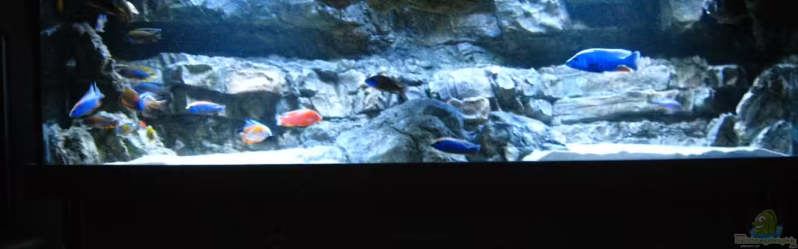 Becken 26682 von airborn28