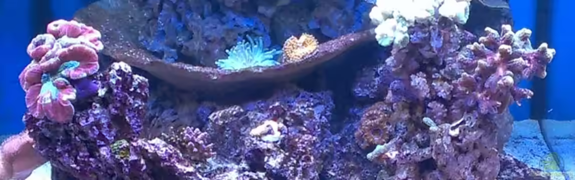 Becken 26778 von Stefan Eckers