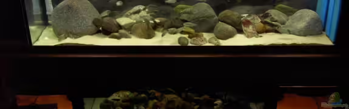 Becken 2682 von Enrico Pinkert