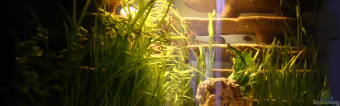 Becken 2703 von Christoph Müller