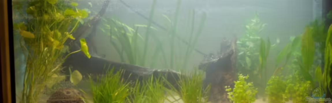 Becken 2709 von Oliver Huch