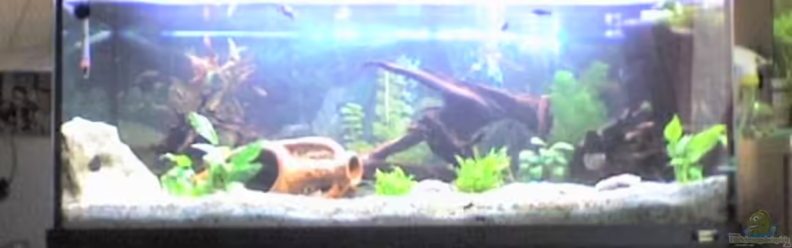 Becken 2718 von Müller Nicole