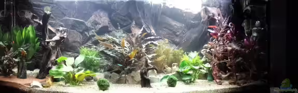 Becken 27240 von Eisbaer