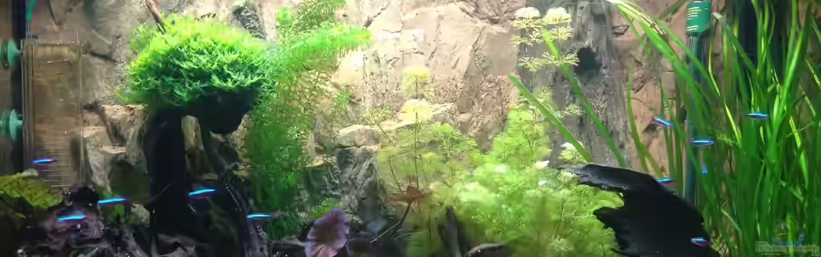 Becken 27368 von Svenja Zeidler