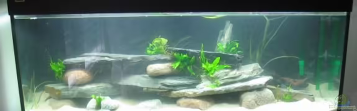 Becken 2746 von Heike Bergmann