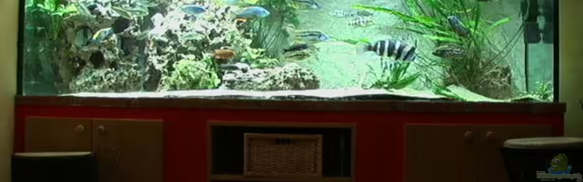 Becken 276 von Georg Seidl