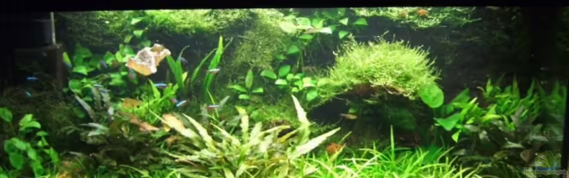 Becken 2785 von Mario Cindric