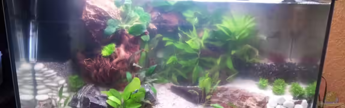 Becken 27889 von Kerstin Rünagel