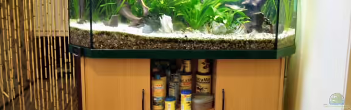 Becken 2794 von Ralph Schulz