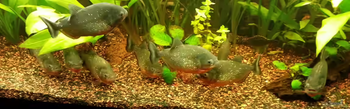 Becken 28106 von Malte Hübner