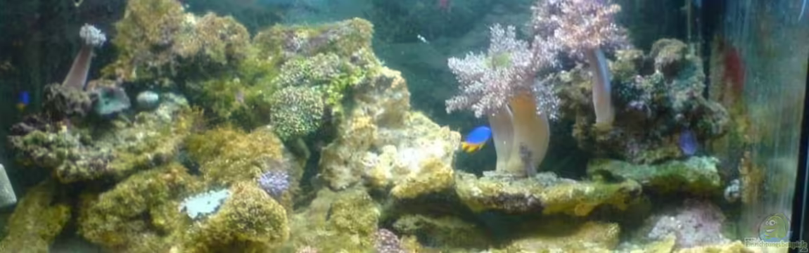 Becken 2814 von Jens Walsleben