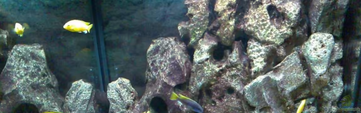 Becken 2839 von Michael Grube