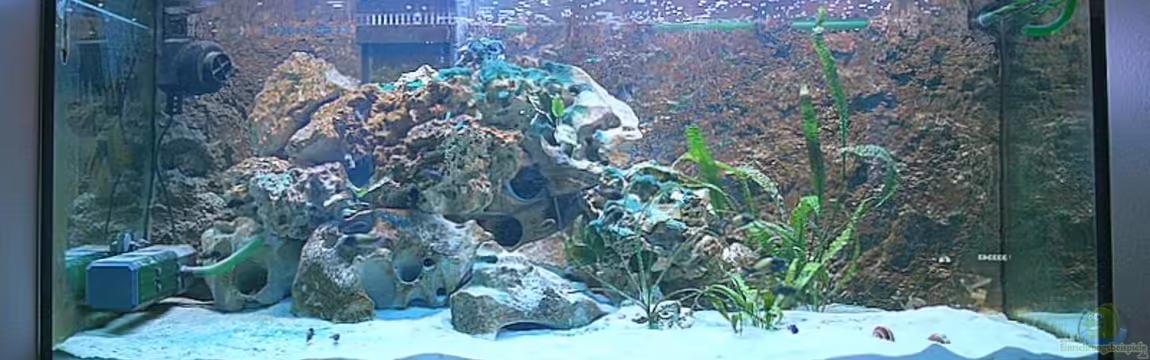 Becken 2846 von Maik Kämmerer