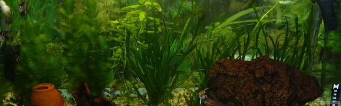 Becken 2858 von Marco Sauer