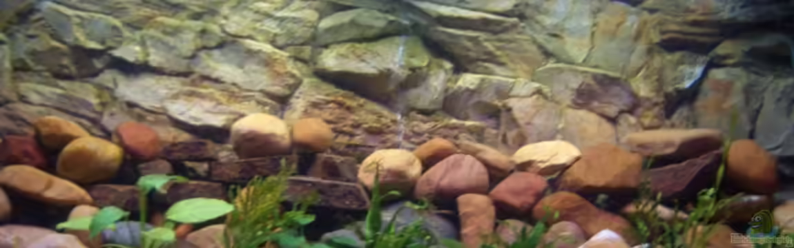 Becken 2860 von Holger Spretz