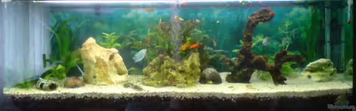 Becken 2863 von Sascha Klumb