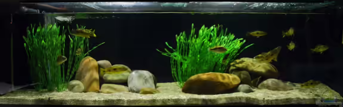 Becken 28720 von Klaus Lischka