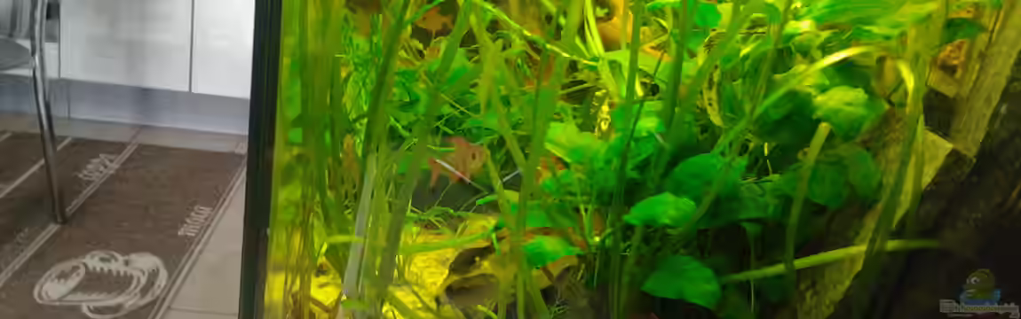 Becken 28735 von Kulle