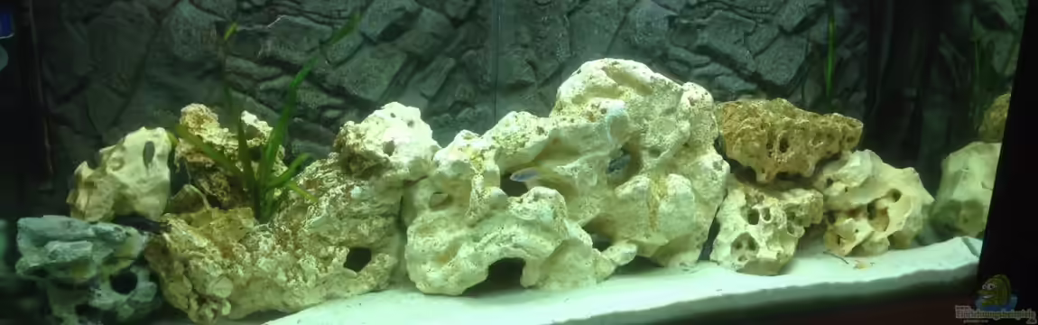 Becken 28877 von Rickschaman