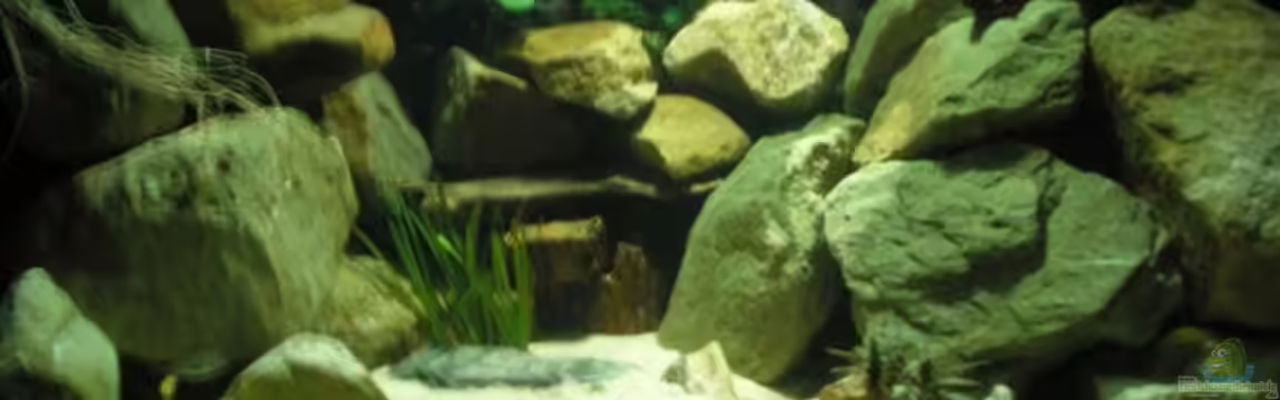 Becken 2888 von Buschmeier Marcel