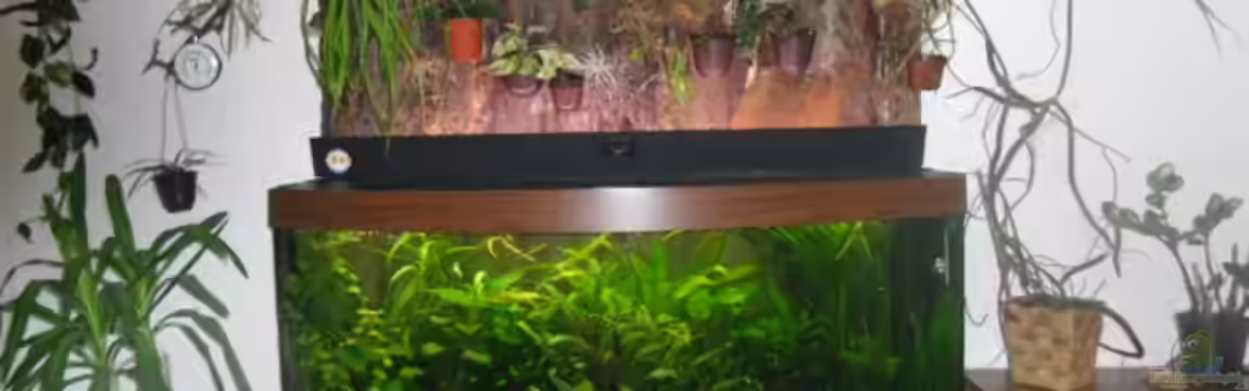 Becken 28975 von Steffen Fiedler