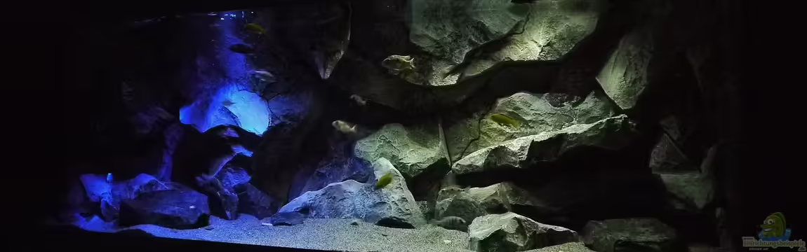 Becken 29067 von Sven