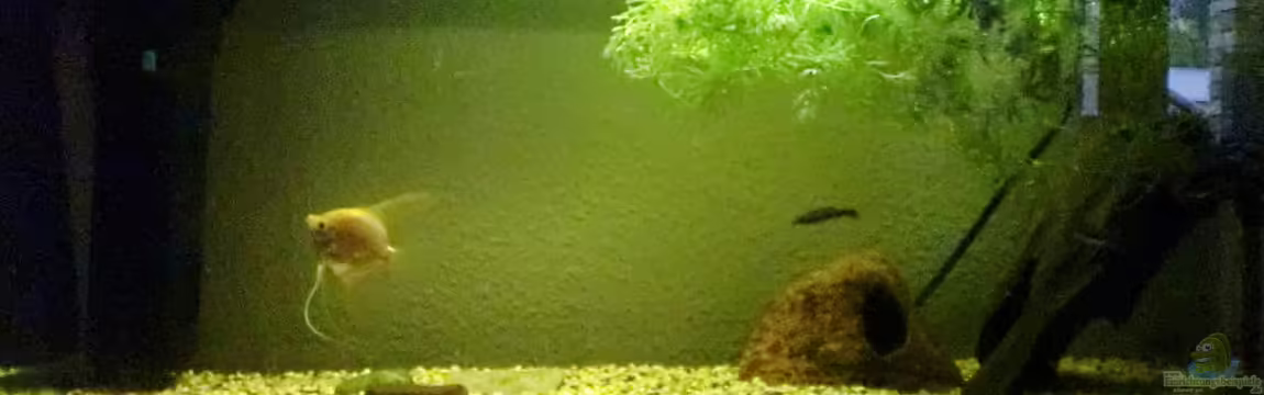 Becken 29096 von Michael Postweiler