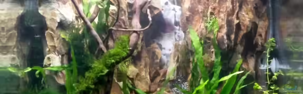 Becken 29132 von Nano Sonny