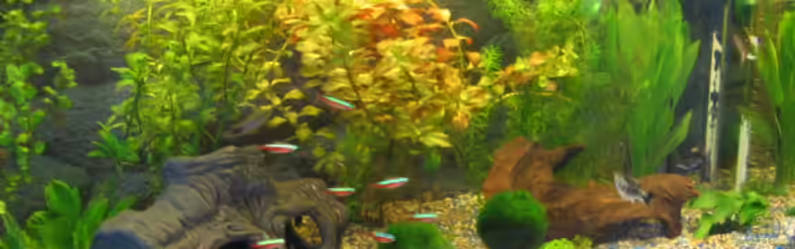 Becken 2926 von Daniel Eder