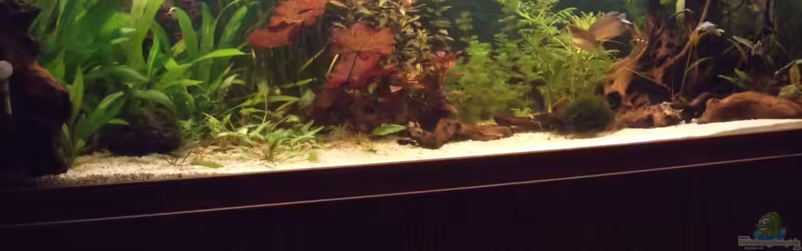 Becken 29347 von Hans-Walter Bandt