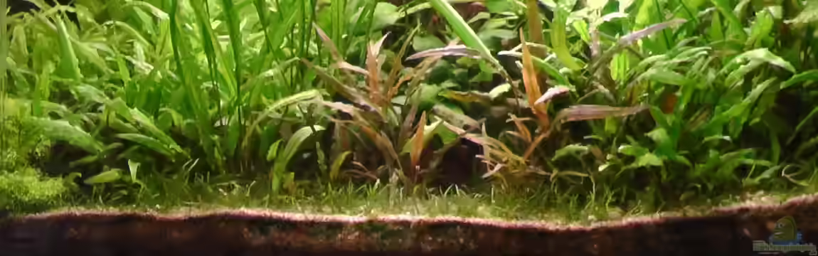 Becken 29520 von leonard50