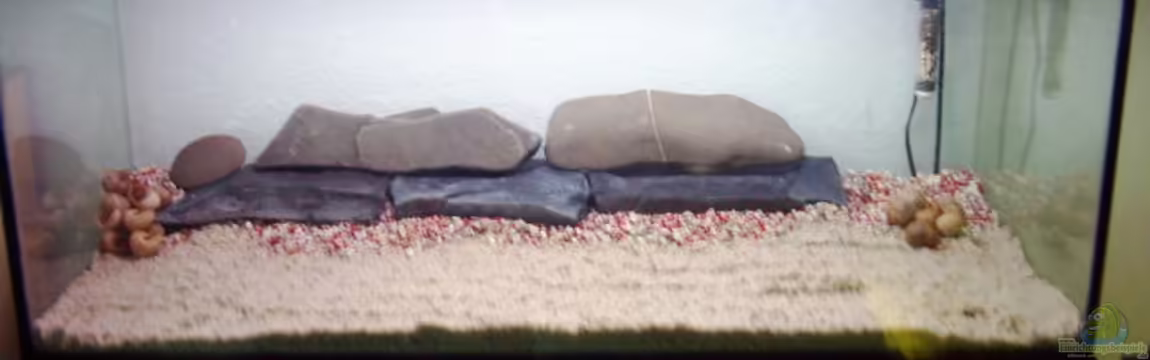 Becken 2955 von Heiko Rodegast