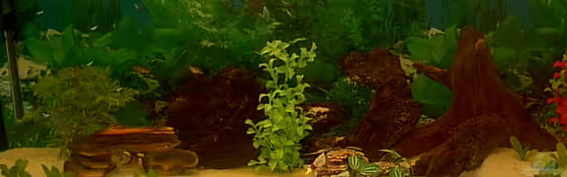 Becken 2970 von Robert Schröder