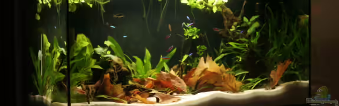 Becken 29774 von Tadeus72