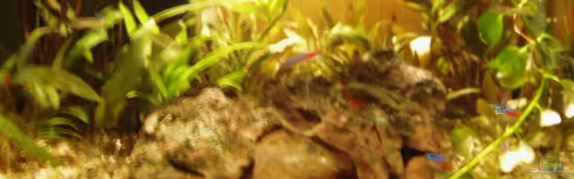 Becken 2980 von Sandro Iffert