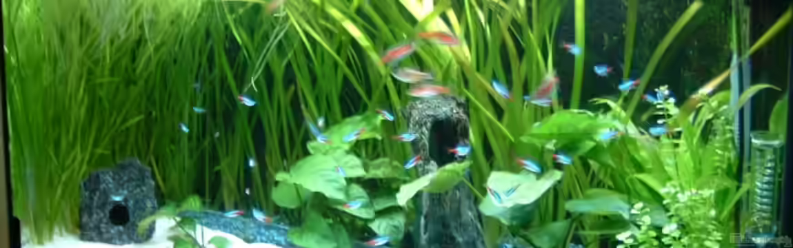 Becken 3013 von Ute Dömelt