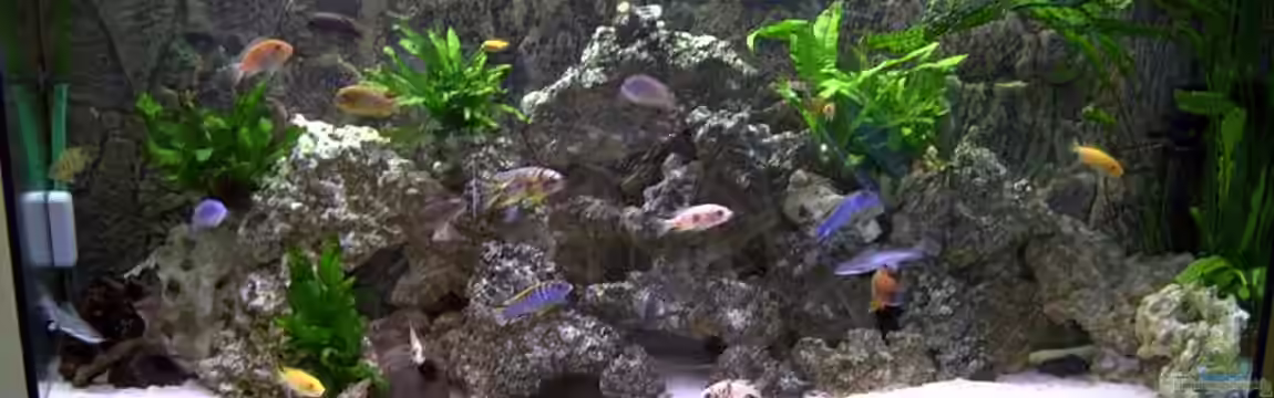 Becken 3019 von Christian Dresel