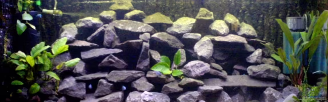 Becken 3021 von Andreas Odenweller