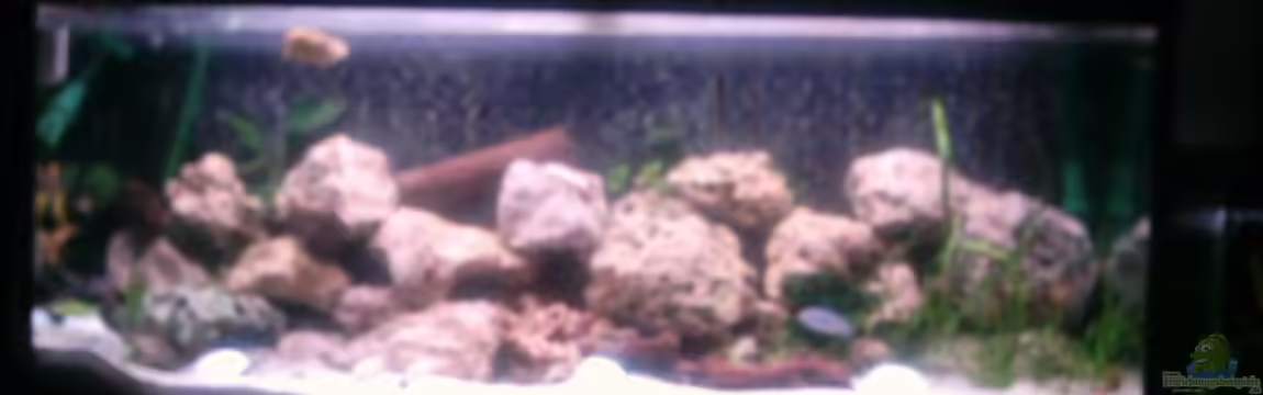 Becken 303 von Peter Hahn